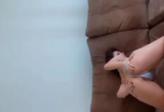 Vídeos Nicks Viera mostra a bunda gostosa, rolando de calcinha