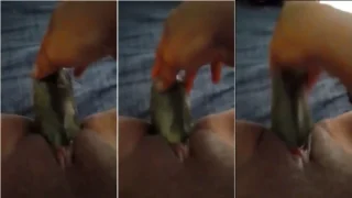 Putiane explorando a xota cabeluda em vídeo se divertindo com legumes